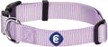 Blueberry Pet Essentials Lavender Dog Collar for Large Dogs | Adjustable Classic Nylon Dog Collars | Comfortable Dog Collar | Stylish Dog Collar for Pet Lovers | 18-26'' Neck