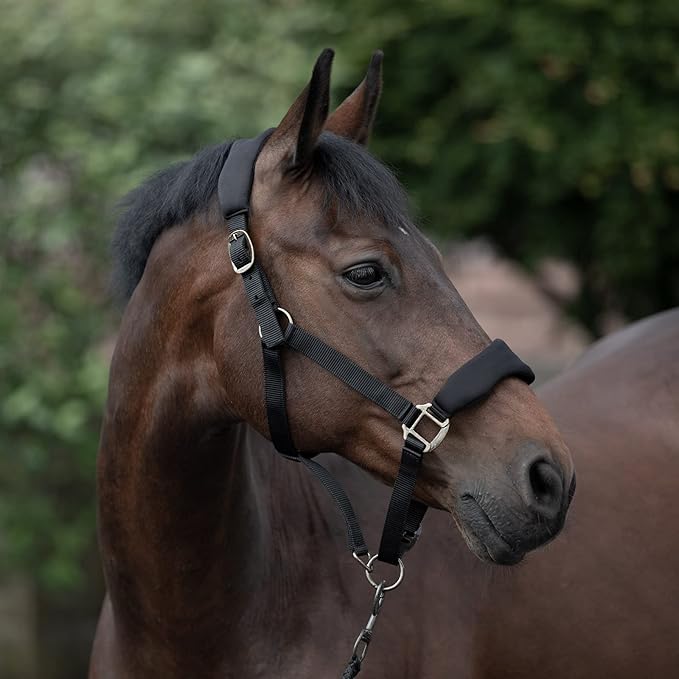 HORZE Graz Fleece Padded Halter - Black - Warmblood