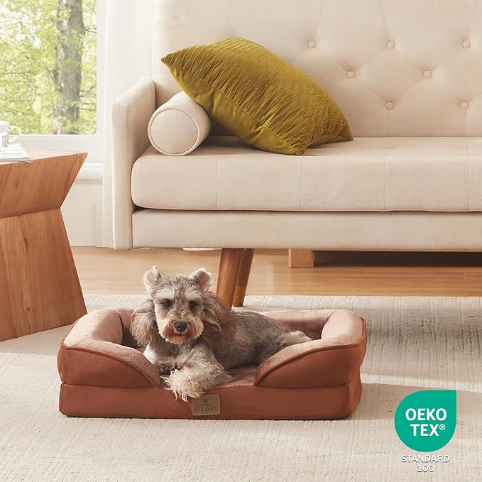 Bedfolks Orthopedic Dog Bed, Waterproof Dog Sofa Bed for Small Dogs & Cats, Egg Foam Pet Couch Bed with Removable Washable Cover and Nonslip Bottom, Brown