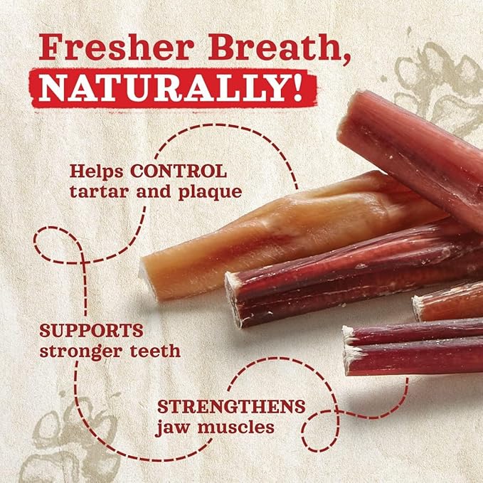 Natural Farm Odor-Free Thick Bully Sticks (12”, 10-Pack) All-Natural Long-Lasting Dog Chews, 100% Beef Pizzle, Grass-Fed, Grain-Free, Protein for Muscle Development & Energy, Perfect for Large Dogs