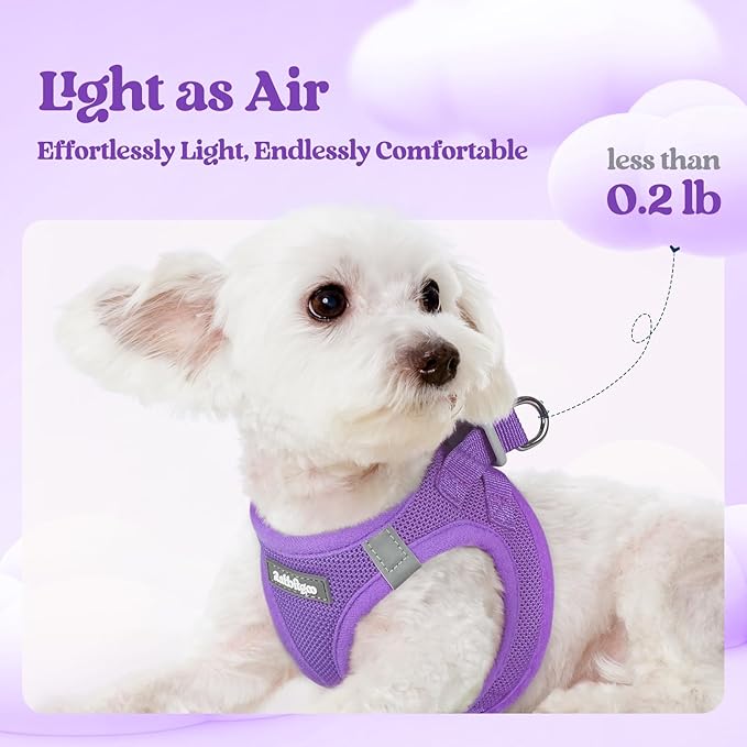 rabbitgoo Dog Harness Small Sized and Leash Set, Step in Soft Light Puppy Vest, Breathable Mesh Pet Harness, Reflective for Safe Outdoor Walking, Purple XXS