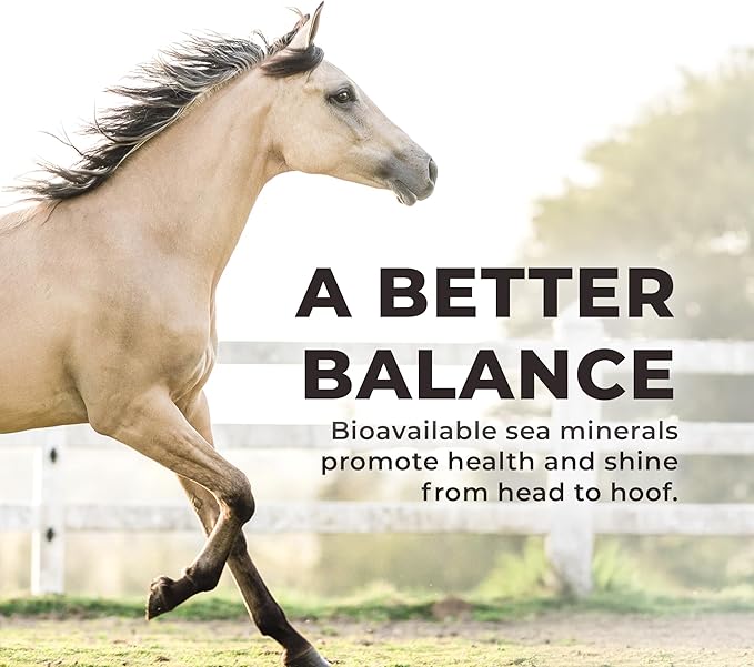 REDMOND Daily RED Crushed - Mineral Supplement for Horses (Garlic (5 LB))