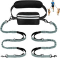 Hands Free Dog Leash with Pouch,Double Leash for Two Dogs
