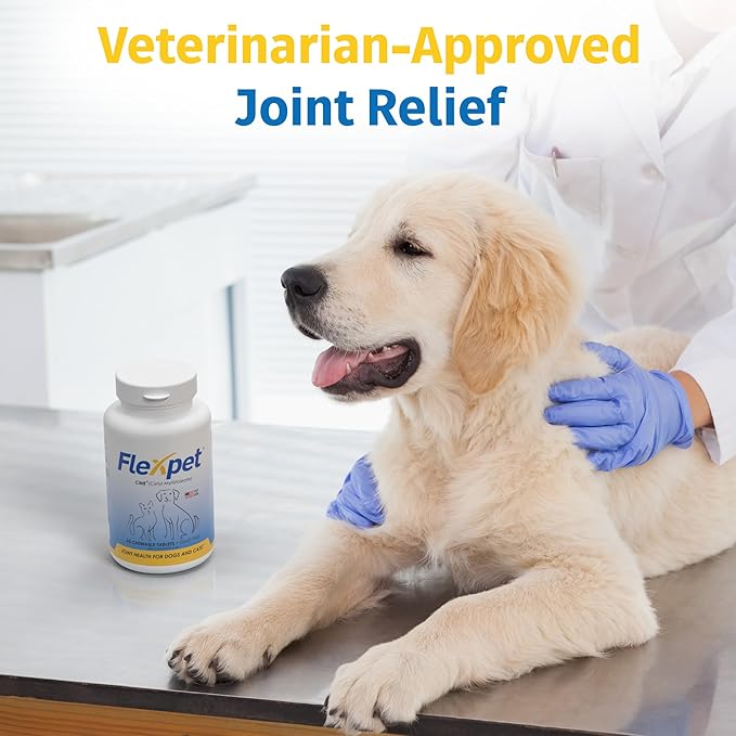 Hip & Joint Supplement for Dogs & Cats with Cetyl Myristoleate, Glucosamine, Collagen, MSM - Advanced Joint Support for Mobility, Senior Pets, Small & Large Breeds - 60 Chews (Pork Liver)