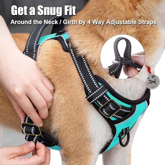 PoyPet No Pull Dog Harness, Reflective Comfortable Vest Harness with Front & Back 2 Leash Attachments and Easy Control Handle Adjustable Soft Padded Pet Vest for Small to Large Dogs (Mint Blue,XL)
