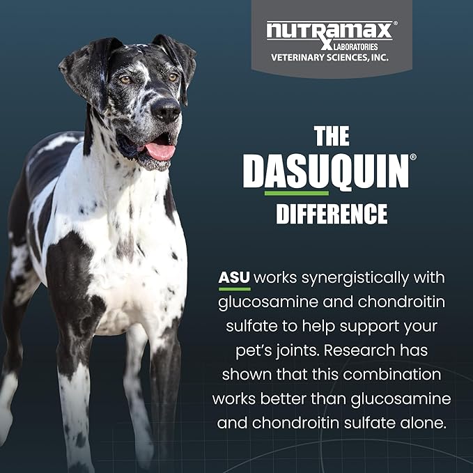 Nutramax Laboratories Dasuquin with MSM Soft Chews, Large Dog, 150 Count, brown