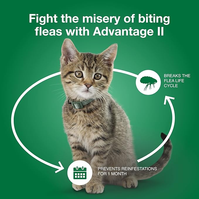 Advantage II Small Cat Vet-Recommended Flea Treatment & Prevention | Cats 5-9 lbs. | 3-Month Supply