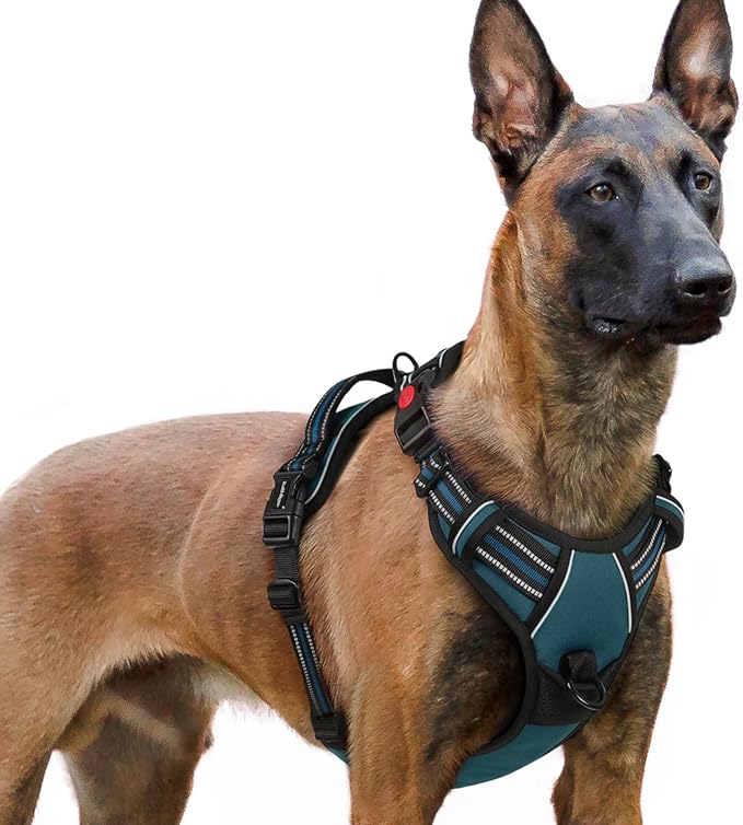 rabbitgoo Dog Harness for Large, No Pull Pet Harness with 3 Buckles, Adjustable Soft Padded Vest with Control Handle, Walking Reflective Pet Vest for Extra Large Dogs,Blue Coral,XL