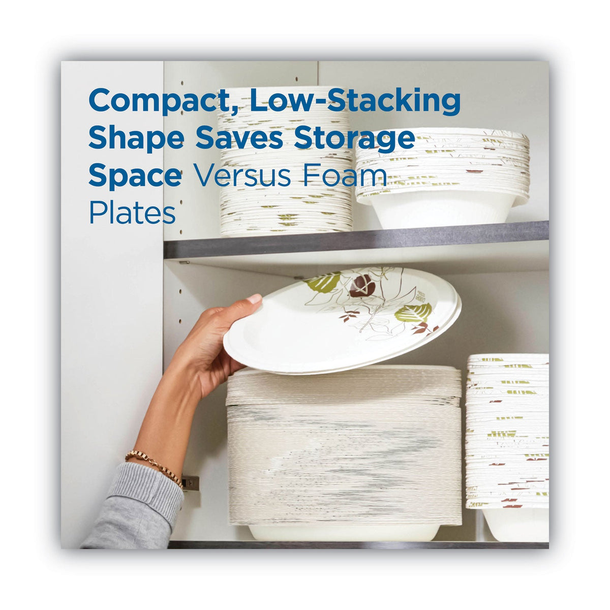 Dixie Pathways Soak Proof Shield Heavyweight Paper Plates, WiseSize, 10.13" dia, Green/Burgundy, 500/Carton
