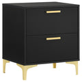 2 Drawer Rectangular Nightstand - Black