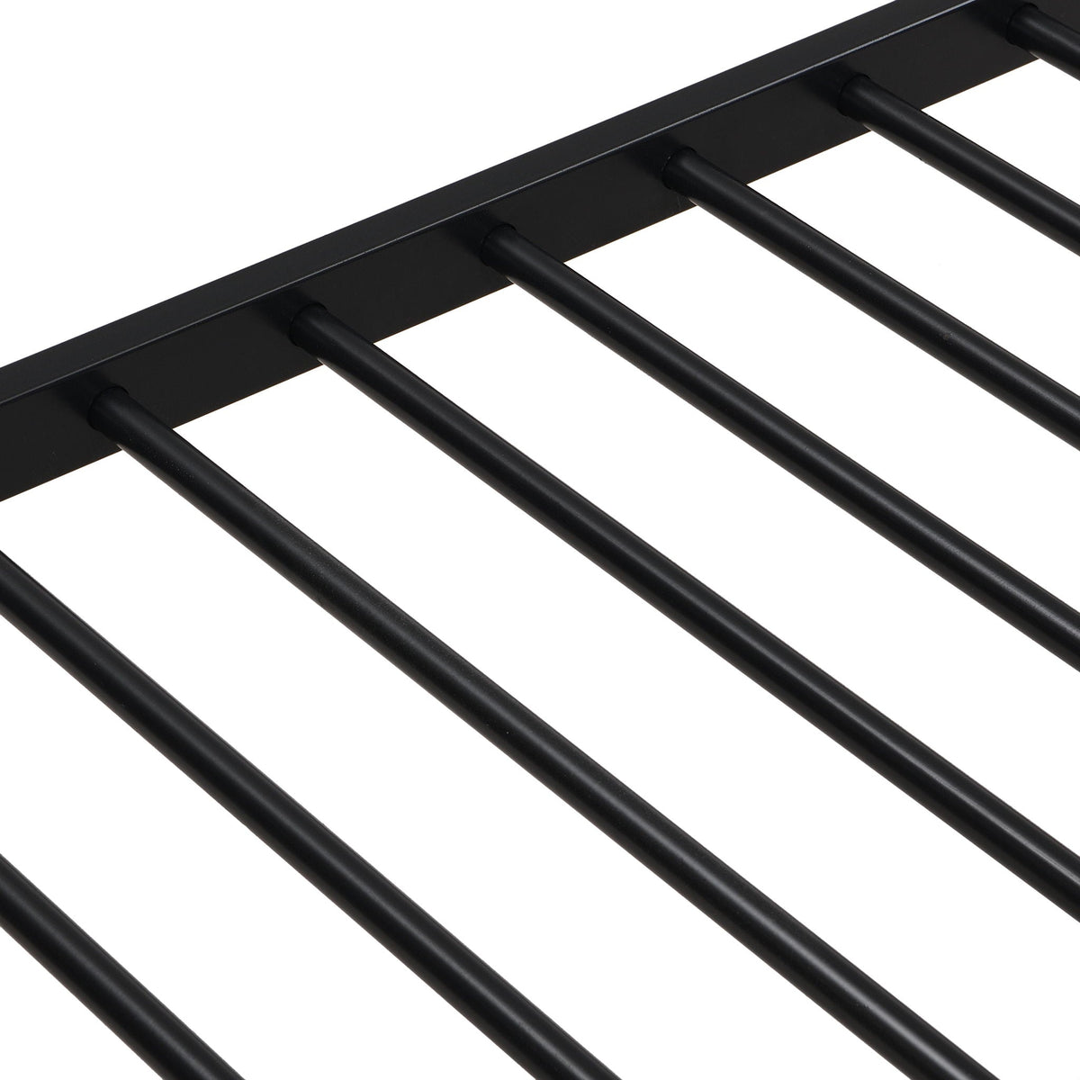Modern Metal Bunk Bed