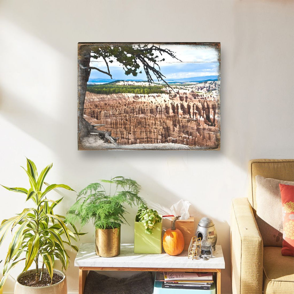 Canyon Tree View Art Wooden Wall Art by Nature Wonders - Nature Wildlife Decor  - 95281B