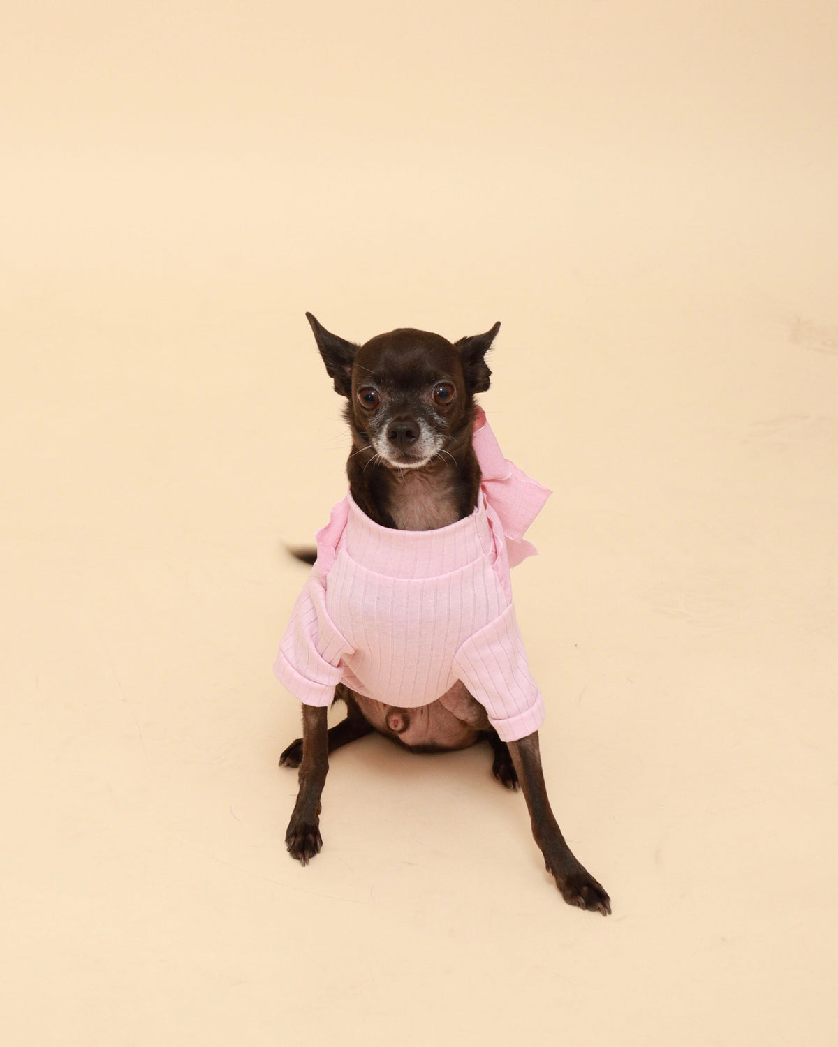 Pink Bow Cotton Turtleneck