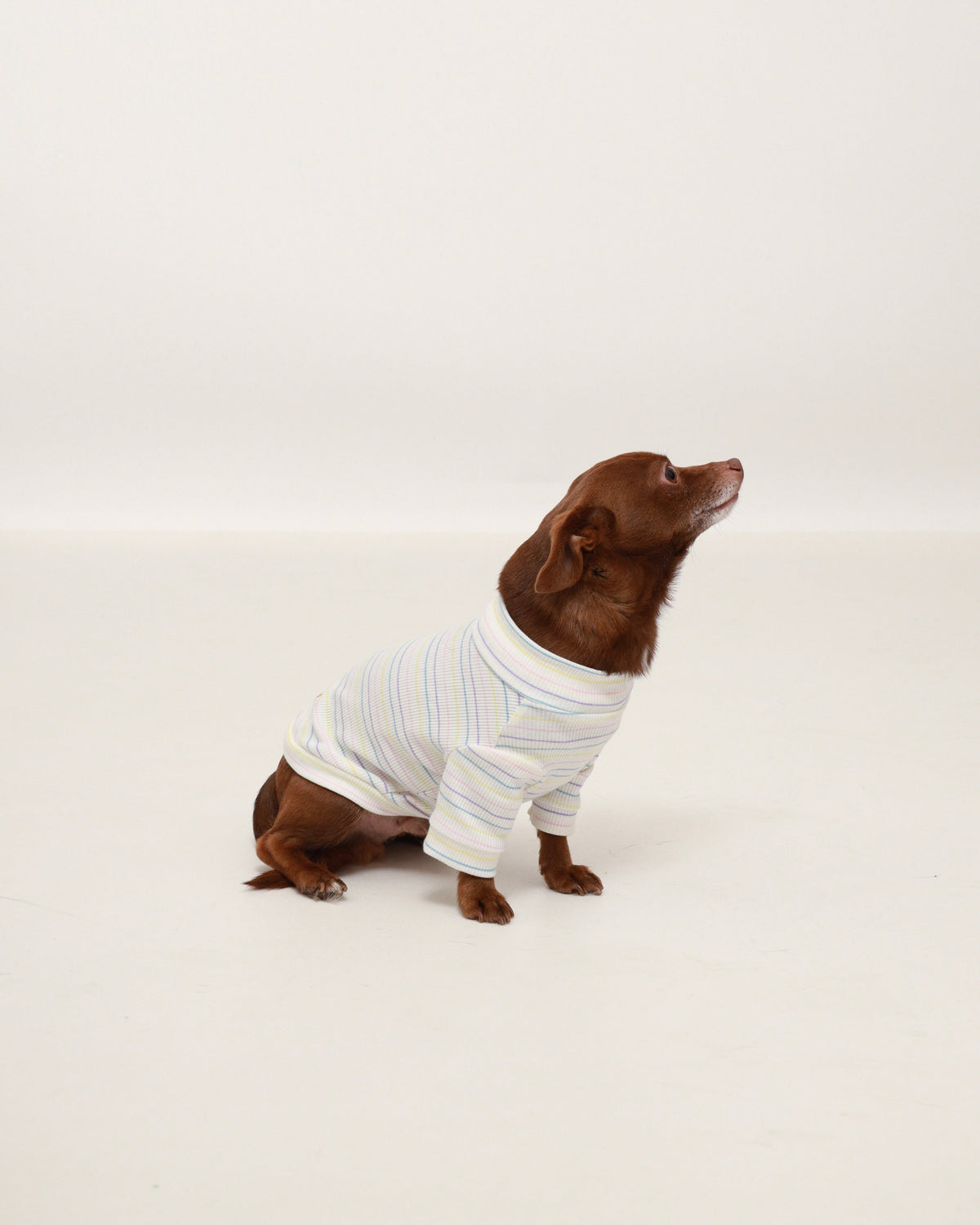 Pastel Striped Turtleneck