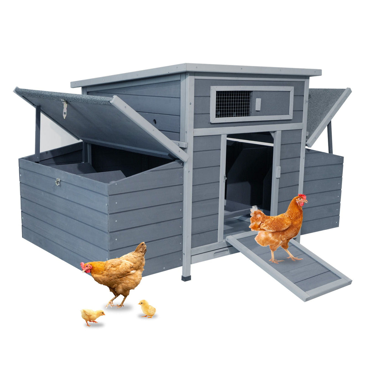 Large Chicken Coop Outdoor Hen House & Dual Nesting Boxes