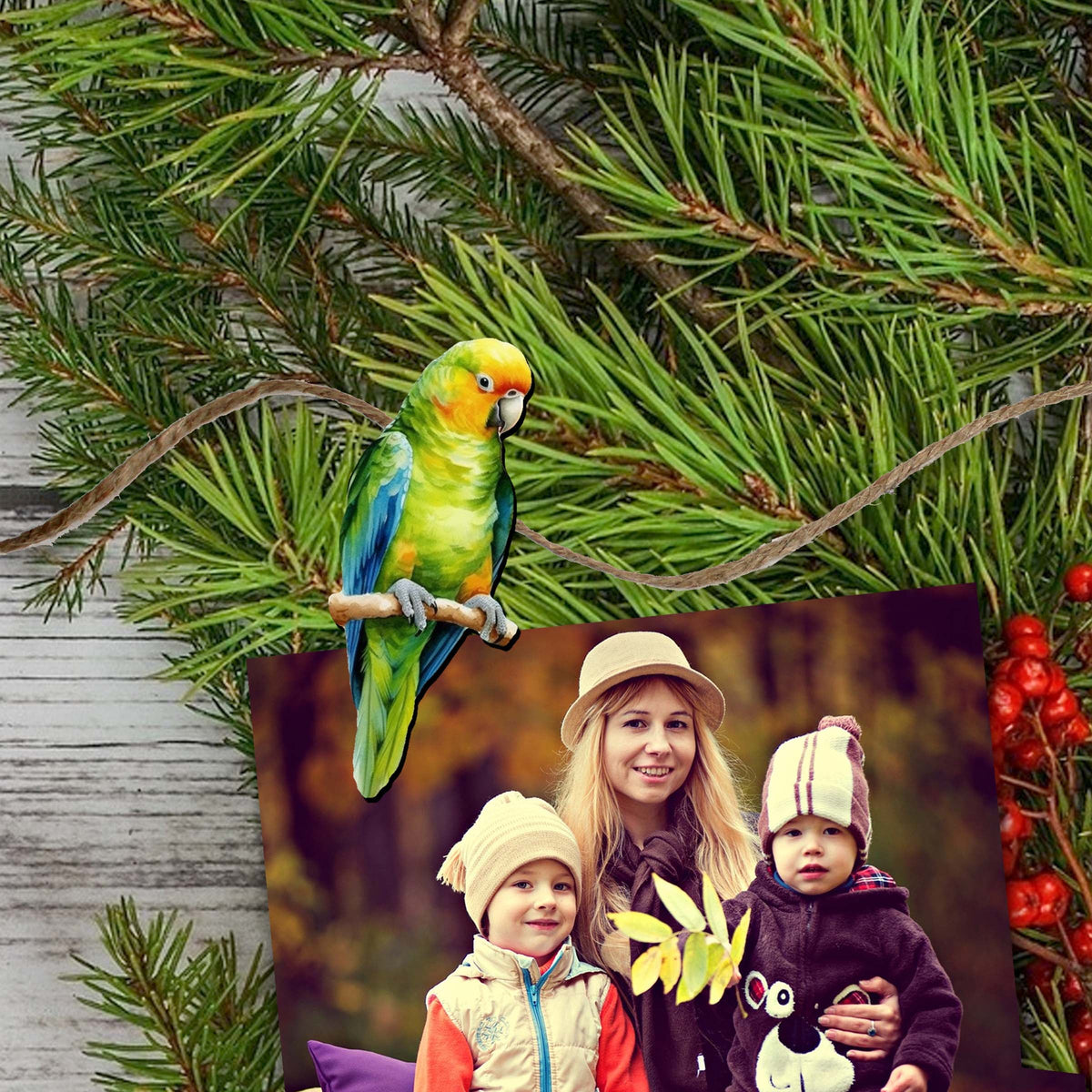 Parrots Clip-On Eco Wood Decorative Ornaments Set of 6 by G. Debrekht - Christmas Decor - 8090013C-S6
