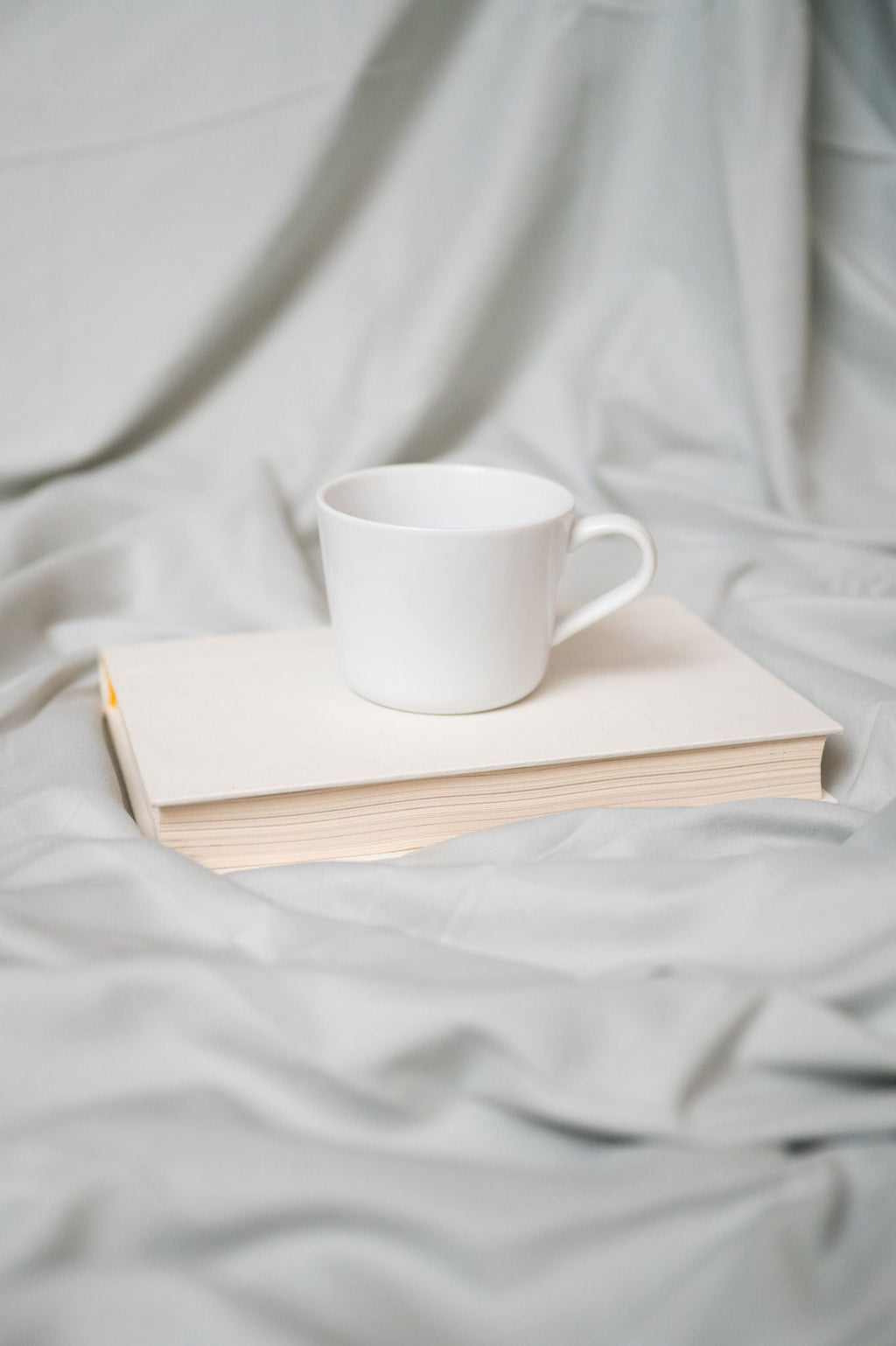 Brushed Hypoallergenic Sheet Set