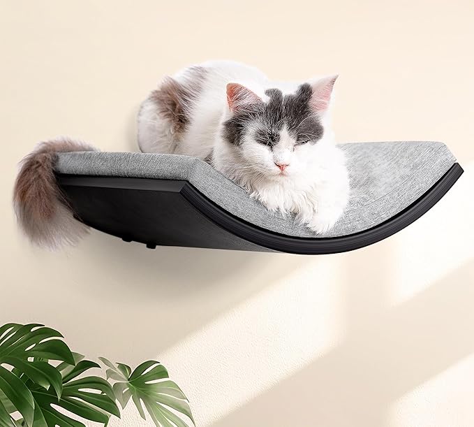 Cat Wall Shelves Set - Curved Wall Foam Bed and 2 Floating Wall Grey Steps, Wall Mounted Cat Climbing Shelves for Sleeping, Playing, and Lounging
