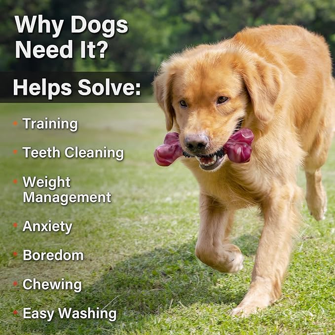 Apasiri Dog Toys for Aggressive Chewers with Bacon Flavor: 8" Indestructible Chew Bones for Large Breeds, Tough Nylon & Rubber Dog Toys Keep Them Busy, Interactive Play - 2-Pack