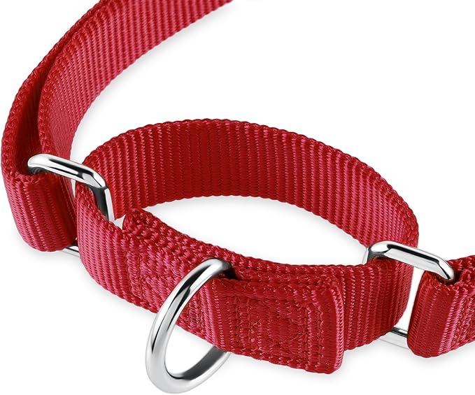Hyhug Heavy Duty Nylon Escape Proof Adjustable Martingale Large Boy and Girl Dog Collar - Walking Training Daily Use.(Large,Red)