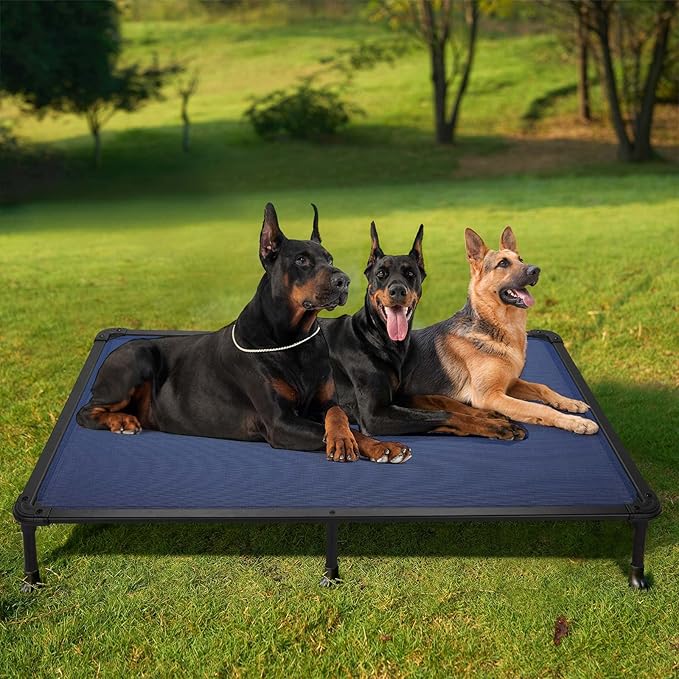 Veehoo Chew Proof Elevated Dog Bed - Cooling Raised Pet Cot - Rustless Aluminum Frame and Durable Textilene Mesh, Unique Designed No-Slip Feet for Indoor or Outdoor Use, Blue, XX-Large, CWC2002