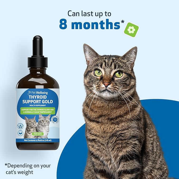 Pet Wellbeing Thyroid Support Gold for Cats - Supports Healthy Thyroid Gland Function in Cats, Normal Metabolism, Bugleweed, Lemon Balm - Veterinarian-Formulated Herbal Supplement 4 fl oz (118 ml)