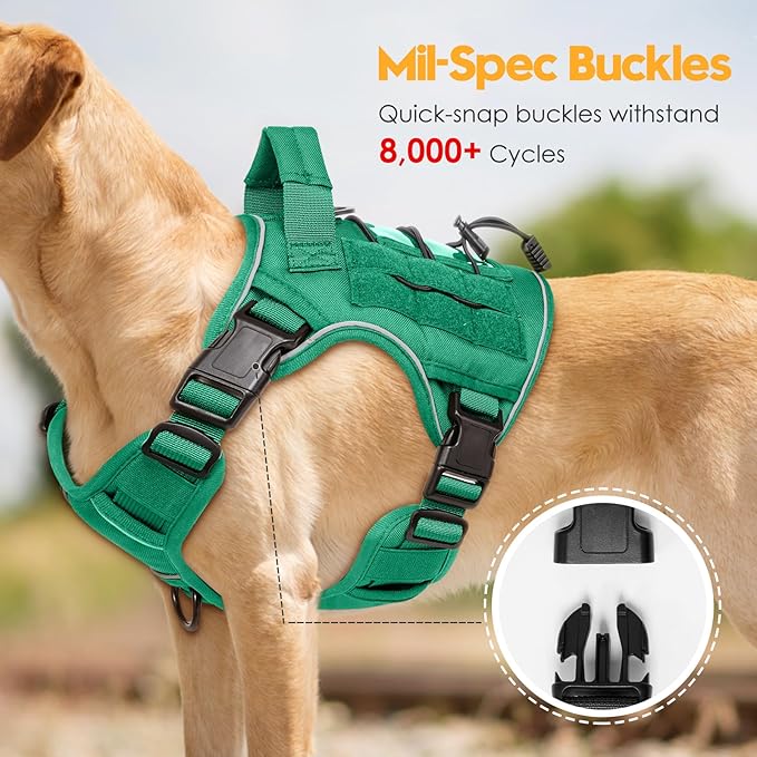 Heavy-Duty Tactical Dog Harness for Large Dogs, No Pull Adjustable Reflective Pet Vest with Molle System, K9 Military-Grade Control for Service Training, Outdoor & 10+ Breeds, Turquoise, Small