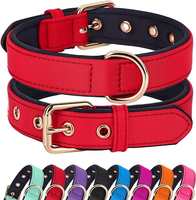 Didog Soft Padded Dog Collars for Medium Dogs, Lightweight and Breathable Dog Collar with Metal Buckle, Red, L