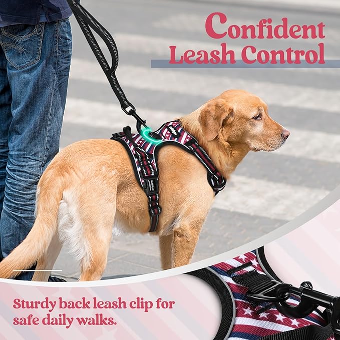 rabbitgoo Dog Harness No Pull with 2 Leash Clips, Adjustable Soft Padded, Reflective Oxford No Choke Pet Vest with Easy Control Handle for Large Dogs, Red Stripe, XL