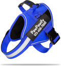 PawPawify Custom No Pull Dog Harness with Name and Phone Number, Heavy Duty Personalized Pet Vest to Prevent Tugging, Pulling, or Choking, Training and Walking (New Blue, M (20-40 LBS))