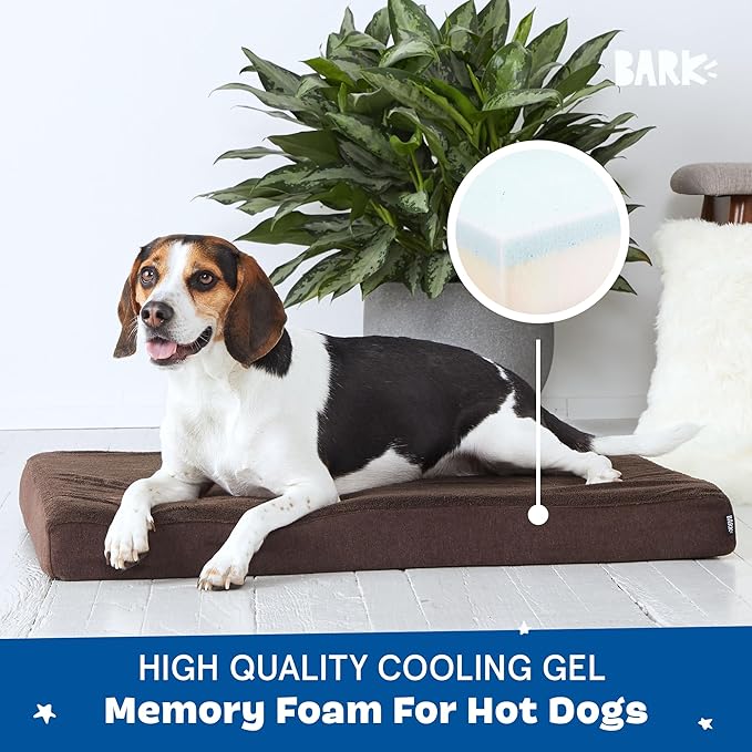 Barkbox Orthopedic Dog Bed with Memory Foam, Premium Comfort for Dogs and Puppies, Dog Bed for Joint Relief and Restful Sleep, Durable and Easy to Clean - Espresso, Medium