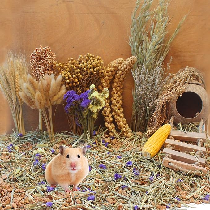 Natural Hamster Bedding - Flowers, Herbs, Sprays, Treat Cereal Grain for Cage Habitat Enclosure Decor - Hamster Chews for Dwarf Syrian Gerbils, Mice, Rat Forage - Pet Accessories