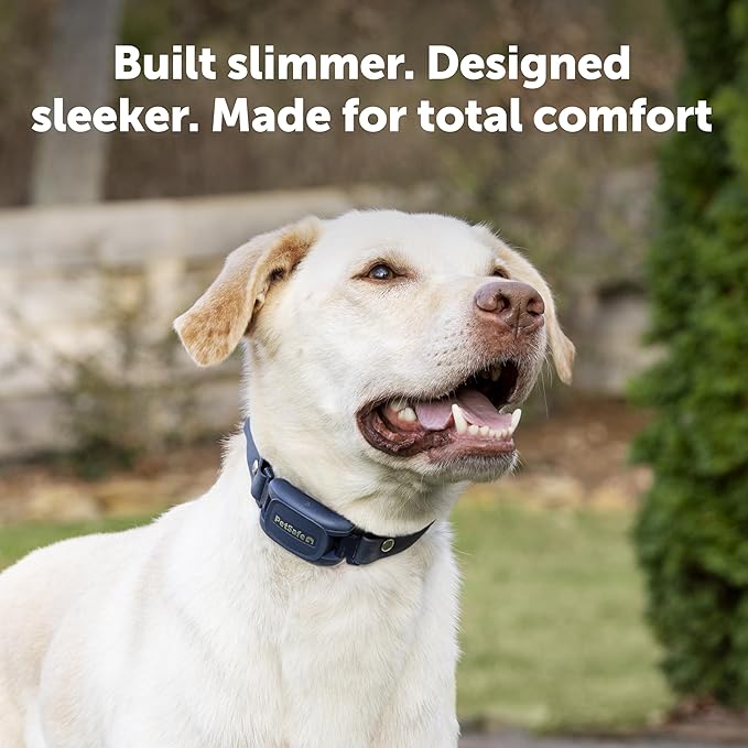PetSafe Pro Remote Trainer Add-A-Dog Collar – Extra Collar for Dog Training Collar with Remote – Waterproof – 1000 Ft Range – Tone, Vibration and 19 Levels of Static – Sleek, Low-Profile Design