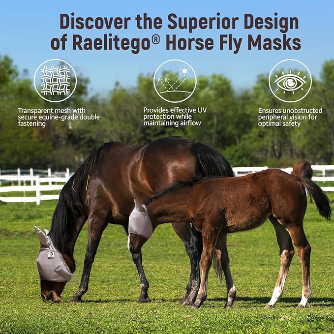 Horse Fly Mask, Adjustable Fly Masks for Horses with Ears, UV Protection from Insect Pests Comfort Mesh Without Nose Average Size Horses Accessories(Medium)