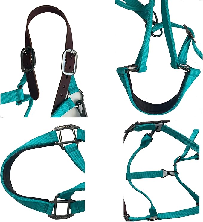 Majestic Ally Leather Halter with Matching Lead Rope for Horses – Leather Breakaway Crown - Adjustable Chin Strap – Rolled Throat Latch – Padded Noseband – Full (Turquoise-Black Nickel, Full)