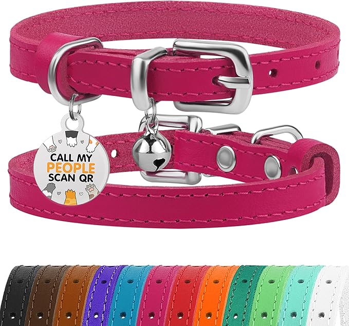 BRONZEDOG Leather Cat Collar with Removable Bells Non Breakaway Kitten QR Tag for Girl Boy (Pink & Silver, 9-12 inch)