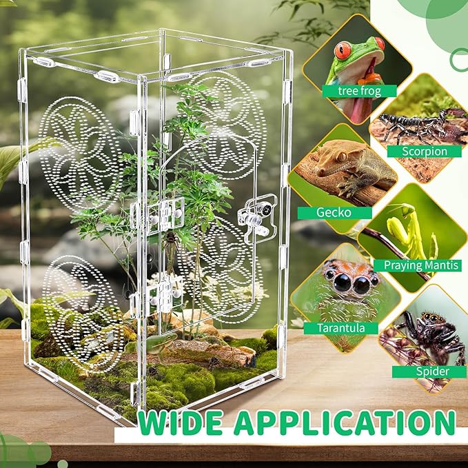 Jumping Spider Enclosure, 12x6x6 Inch Acrylic Tarantula Enclosure, Jumping Spider Accessories with Front Opening Door