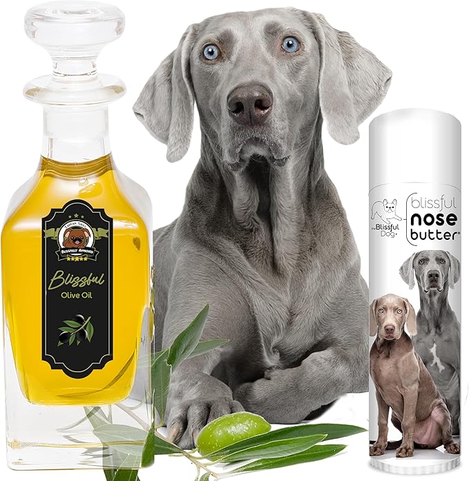 The Blissful Dog Weimaraner Nose Butter for Dry, Cracked Skin, Lick-Safe Dog Nose Balm with Moisturizing Shea Butter, Almond, Olive, and Essential Oils, Pet Supplies, Uncented, 0.50 oz.