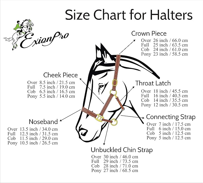 Exion Leather Horse Halter with Fancy Stitching | Black & Brown Padded Halter with Brass Hardware | Quick-Release Snap | Adjustable Leather Halter – Cob, Full, Over, Pony Sizes