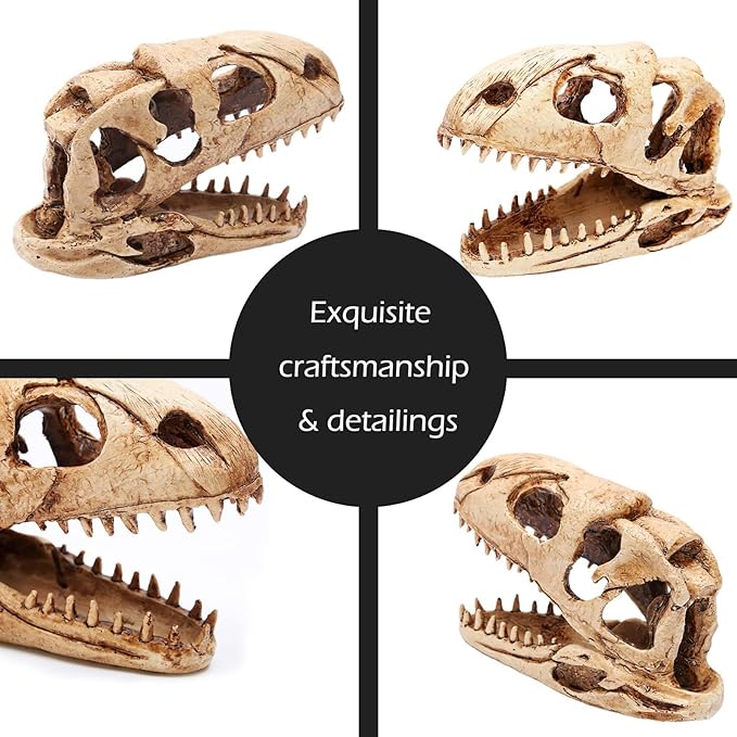 Dinosaur Animal Skull Aquarium Large Décor Cave Decorations Fish Hideout Tank Betta Tarantula Reptile Snake for Terrarium Decor Ornament Bones Halloween