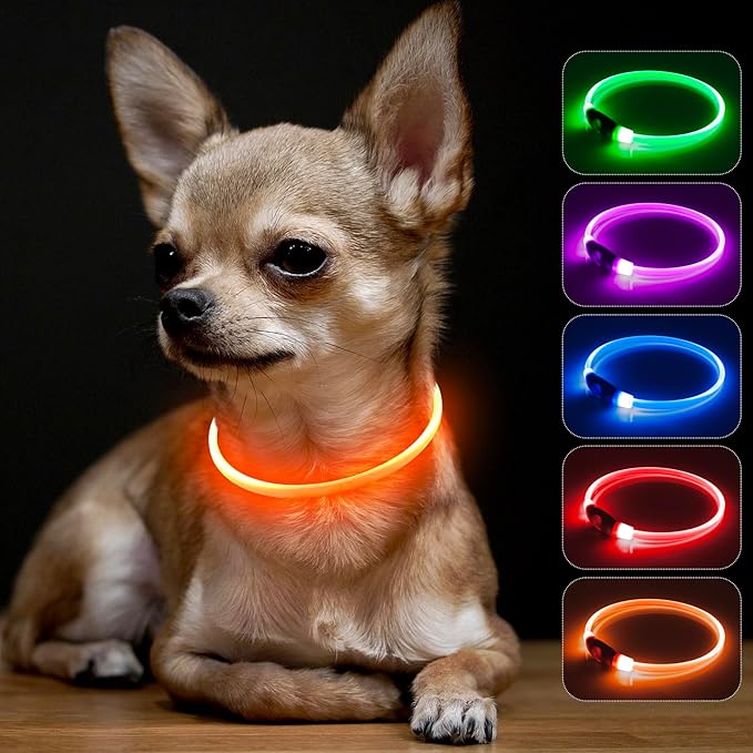 BSEEN Light Up Dog Collar - Rainproof LED Dog Collar Rechargeable - TPU Cuttable Glowing Pet Collar for Small Puppies& Cats, Safety Dog Lights for Night Walking& Camping (XS- Orange 40cm)