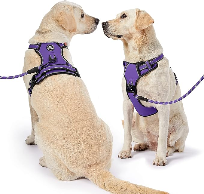 NESTROAD No Pull Dog Harness,Adjustable Oxford Dog Vest Harness with Leash,Reflective No-Choke Pet Harness with Easy Control Soft Handle for Large Dogs(Large,Purple)