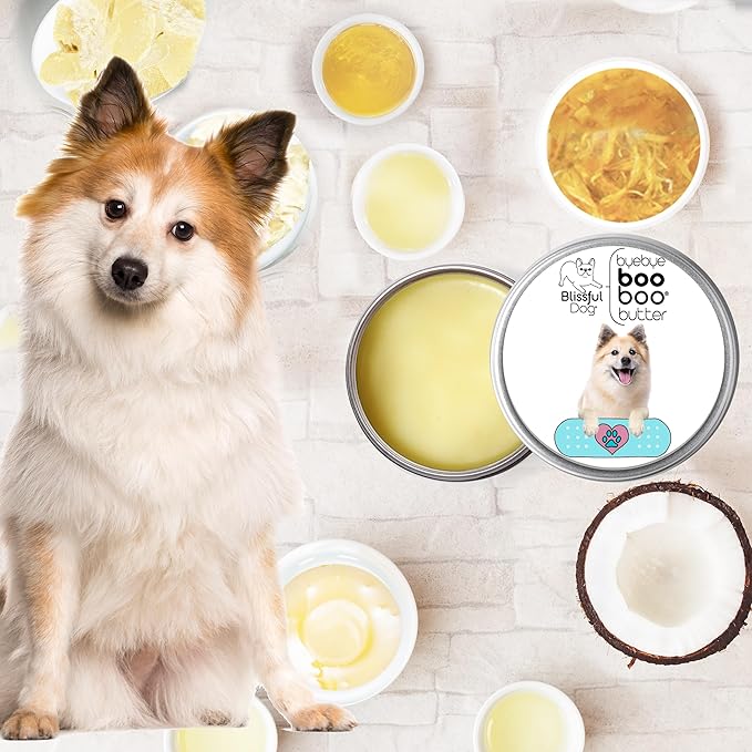 The Blissful Dog Icelandic Sheepdog Boo Boo Butter, 1 Ounce