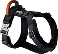 MADE TO ROAM Premium Explorer Harness - Y-Shaped Dog Harness with Adjustable Durable Nylon, Soft Padding, Metal Buckles and Leather Handle for Small, Medium, Large Dogs (New York Afterlight, Size 5)