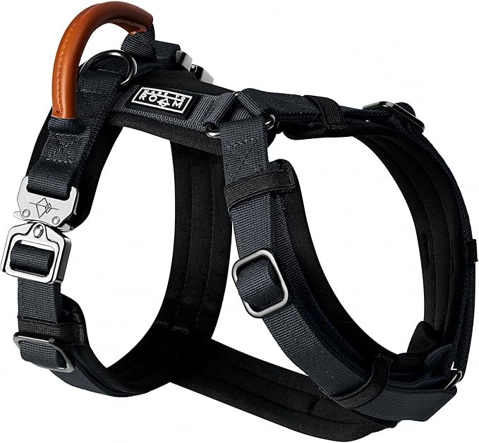MADE TO ROAM Premium Explorer Harness - Y-Shaped Dog Harness with Adjustable Durable Nylon, Soft Padding, Metal Buckles and Leather Handle for Small, Medium, Large Dogs (New York Afterlight, Size 2)