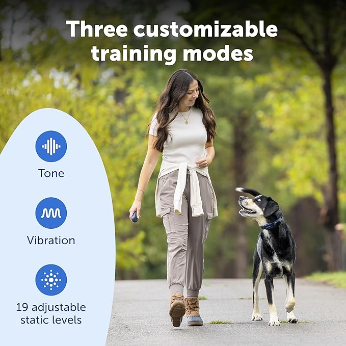PetSafe Pro Dog Trainer with Remote – Waterproof Training Collar – 1000 ft Range – Tone, Vibration and 19 Levels of Static - Add-A-Dog Compatible – Sleek Remote Training Collar
