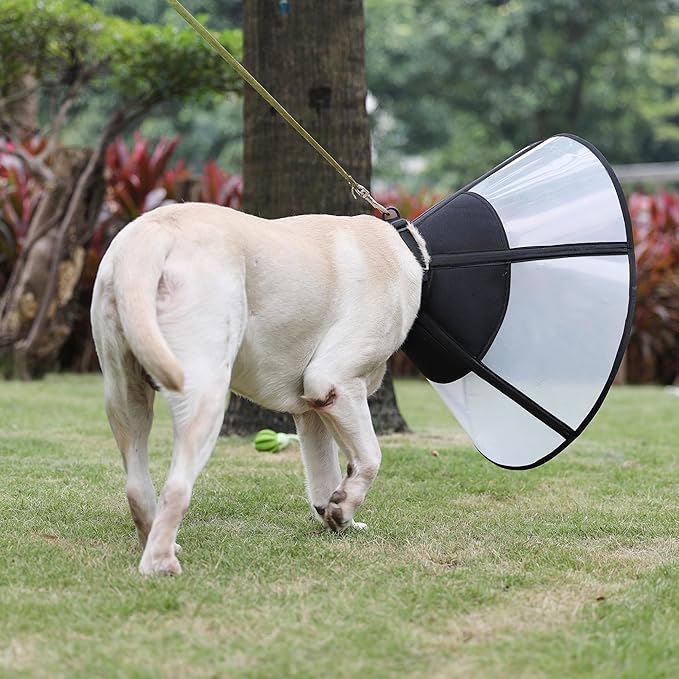 Soft Dog Cone Suitable for Postoperative Use in Dogs, Adjustable and Comfortable Elizabeth Collar, Used for Wound Care, Sterilization, Suitable for Medium to Large Dogs (L)