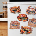 Crabs of the Wild Decorative Eco Wood Magnets Set of 6 by G. Debrekht - Wildlife Decor - 8090121G-S6