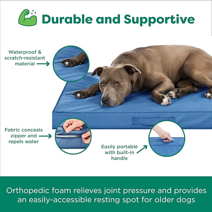 FurHaven Cooling Dog Bed – Medium Foam Mattress for Joint Pain Relief, Waterproof Liner, Removable Washable Cover, Durable for Outdoor Use, Deluxe Grid Indoor/Outdoor Bed – Blue, Medium