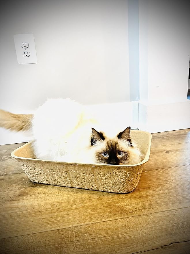 Midlee Disposable Cat Litter Boxes Pack of 5- Travel Portable Pet Tray Liner Pan